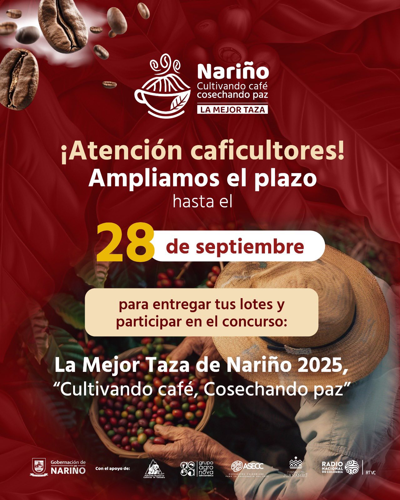 ampliación - Gobernación de Nariño