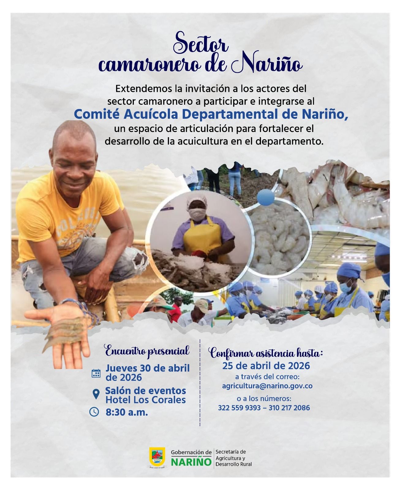 Volante digital de la Gobernación de Nariño invitando al sector camaronero a integrarse al Comité Acuícola Departamental. Muestra fotografías de un productor de camarón en campo, una trabajadora de procesamiento y un grupo de operarios en planta.