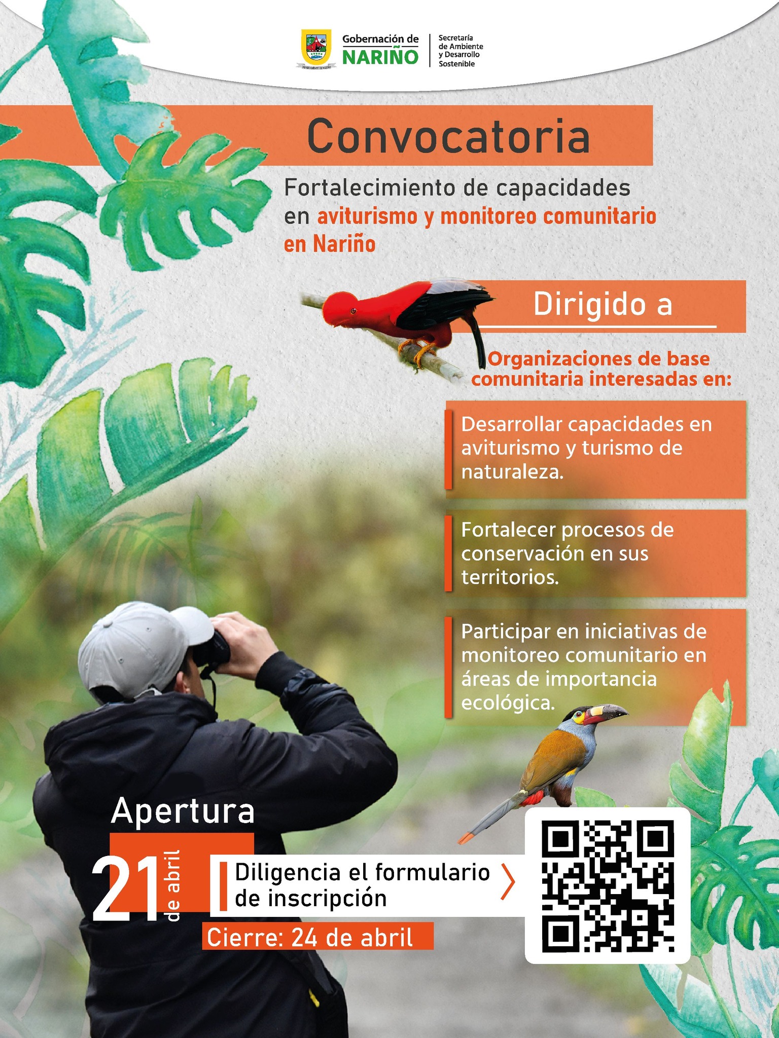 Afiche de la Gobernación de Nariño sobre la convocatoria para el fortalecimiento de capacidades en aviturismo y monitoreo comunitario. Muestra a una persona observando aves con binoculares y especies nativas como el Gallito de las Rocas y un Tucán.