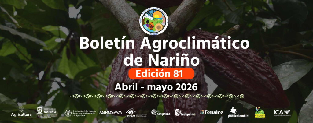 Banner oficial del Boletín Agroclimático de Nariño Edición 81 (abril-mayo 2026), con imagen de frutos de cacao y logotipos de las instituciones aliadas de la Mesa Técnica Agroclimática (MTA).