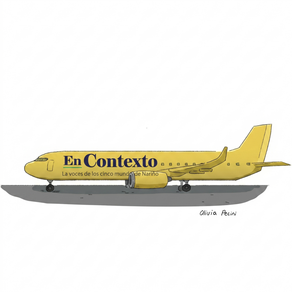 Avión con el logo de En Contexto