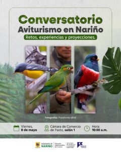 Afiche oficial del "Conversatorio Aviturismo en Nariño: Retos, experiencias y proyecciones". Presenta tres paneles fotográficos verticales con aves exóticas de la región sobre un fondo de bosque de niebla, detallando la programación para el viernes 8 de mayo a las 10:00 a.m. en el Salón 1 de la Cámara de Comercio de Pasto.