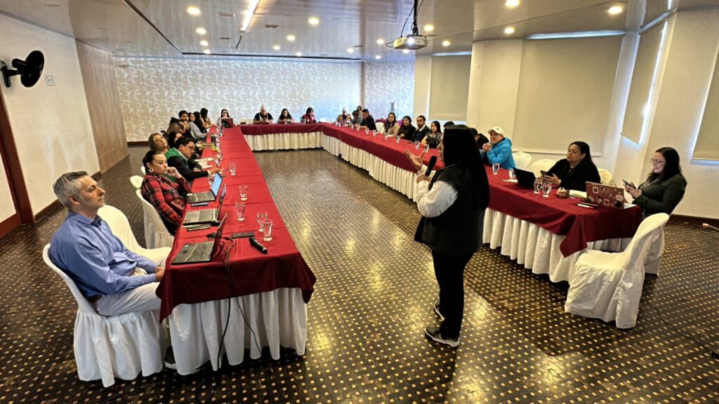 Una facilitadora expone ante delegados institucionales y de cooperación internacional en una mesa en forma de U.