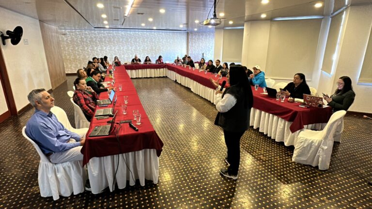 Una facilitadora expone ante delegados institucionales y de cooperación internacional en una mesa en forma de U.