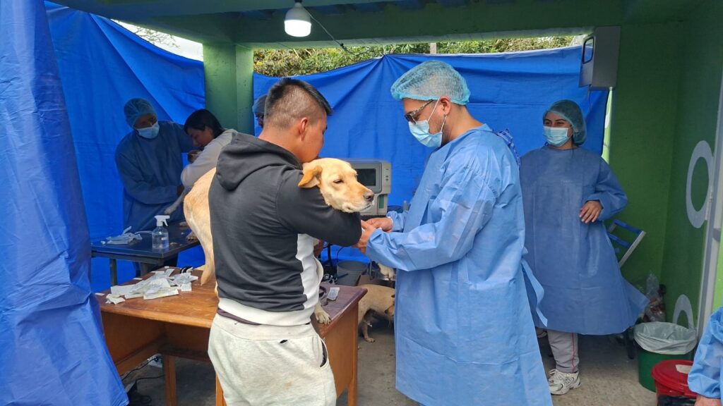 Vista interior de un puesto quirúrgico móvil adaptado con plásticos azules, donde un médico veterinario con bata, mascarilla y gorro atiende a un perro criollo color arena sostenido por su dueño, mientras el equipo médico prepara los insumos de esterilización.