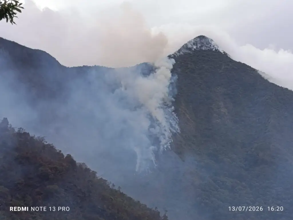 Vista diurna del cerro Aminda cubierto por una gran columna de humo blanco y denso producto del incendio forestal activo en la ladera empinada de la montaña.
