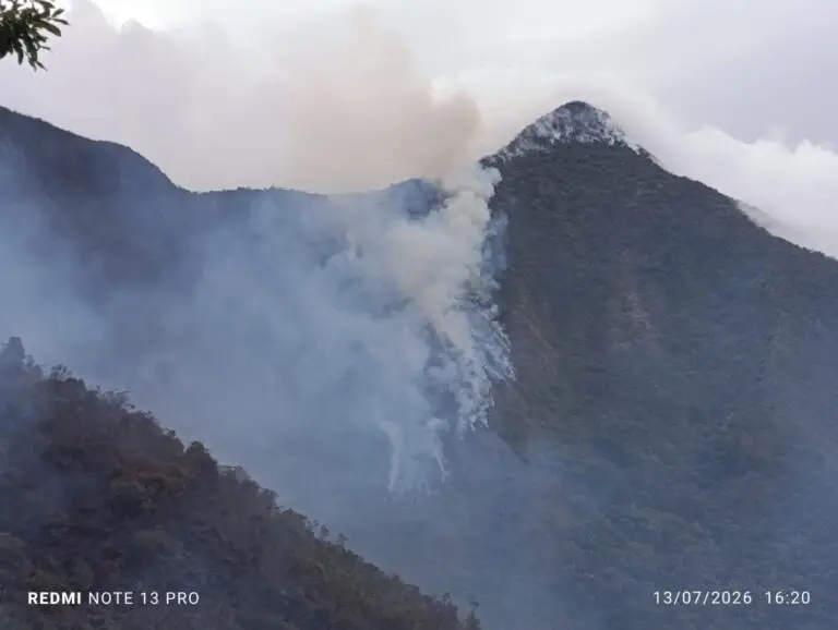 Vista diurna del cerro Aminda cubierto por una gran columna de humo blanco y denso producto del incendio forestal activo en la ladera empinada de la montaña.