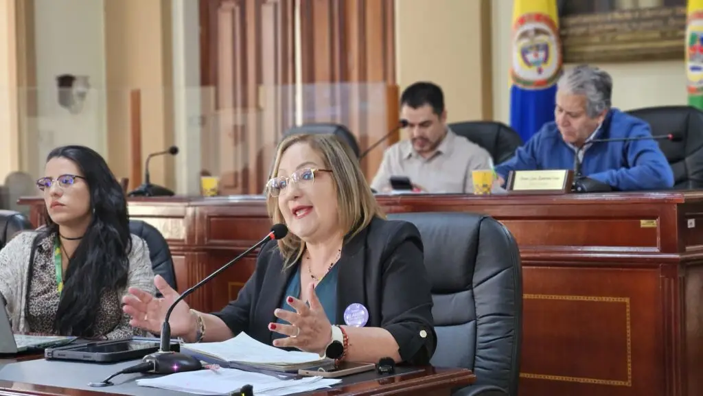 Lilian Montúfar Andrade, Secretaria de Equidad de Género e Inclusión Social de Nariño, habla ante un micrófono de mesa con gesticulación de manos durante una reunión institucional. Al fondo se observan banderas oficiales y otros funcionarios sentados.
