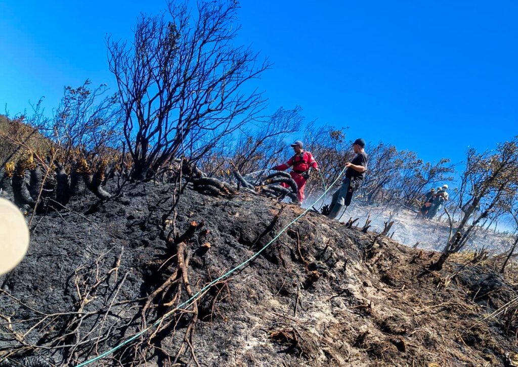 Bomberos y brigadistas sofocando un incendio de cobertura vegetal en una ladera boscosa calcinada en Nariño