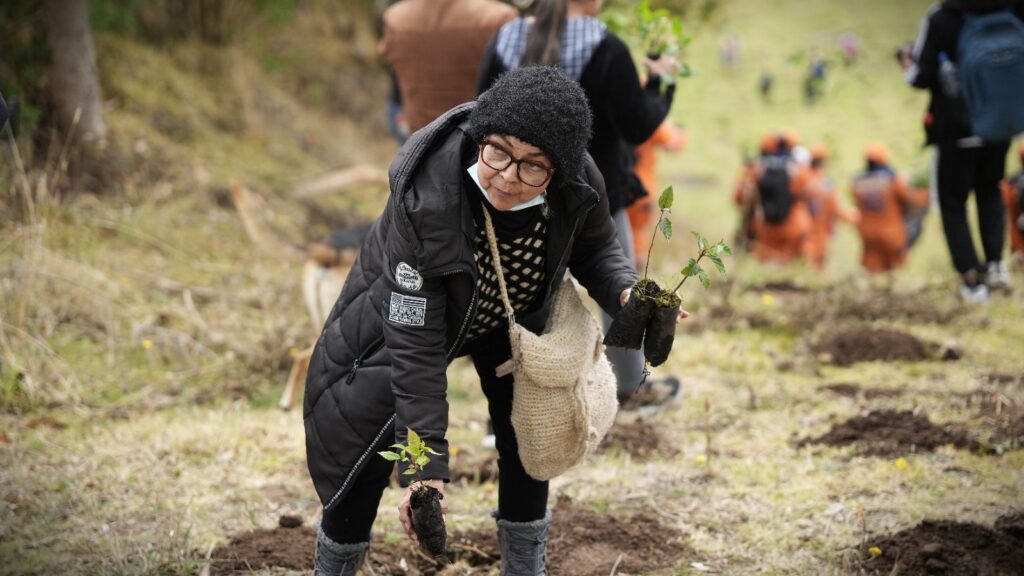Mujer sostiene árboles nativos durante una jornada de restauración forestal en Cuaspud-Carlosama, Nariño.