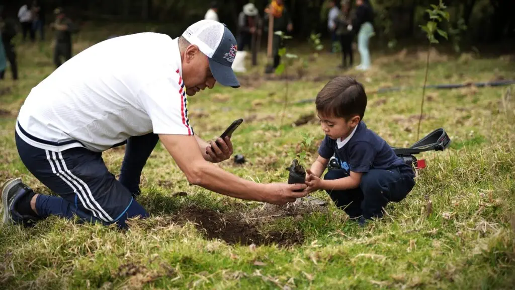 Adulto y niño participan en una jornada de restauración forestal sembrando un árbol nativo en Cuaspud-Carlosama, Nariño.